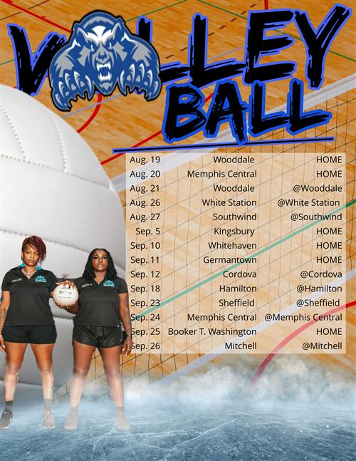 volleyball